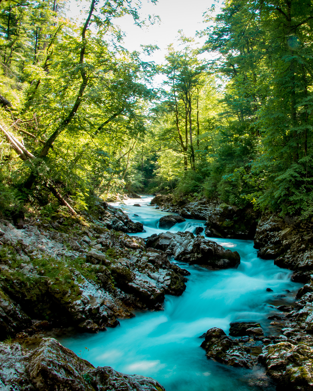 Vintgar Gorge river